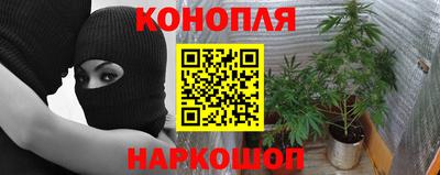 твердый Владивосток
